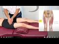 Femoral Focus One-Minute Rectus Femoris Palpation