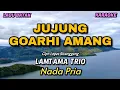 Download Lagu JUJUNG GOARHI AMANG - Lamtama Trio | Karaoke lagu Batak | Nada Pria