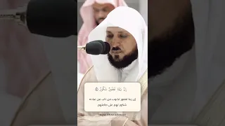 وقالوا الحمد لله الذي أذهب عنا الحزن ماهر المعيقلي 