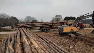 Finally Getting Logs Out!