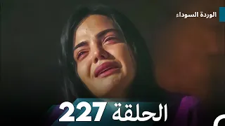 الوردة السوداء الحلقة 227 