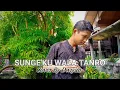 Download Lagu Sunge'ku wala tanro - Ilyas Syafar ( Bugis ) Cover By Dwiyan | Lirik