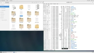 Lecture 1 Linux Basic Commands Ls Command