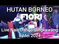 Download Lagu dFIORI - Hutan Borneo • Live Naik Dango Singkawang 8 Mei 2024