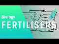 What Are Fertilisers Agriculture Biology FuseSchool