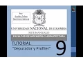 Tutorial 9 de MATLAB en espanol - Depurador y Profiler
