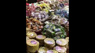 مدد يا أم هاشم    أجواء احتفالية فى السيدة زينب بالمولد النبوي والحلاوة فاخر و شعبي دندنها