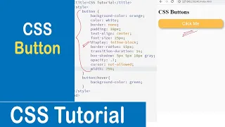 CSS Buttons Styling Buttons in CSS CSS Tutorial