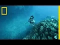 Download Living Off the Land in Hawaii | Explorer mp4 3gp mp3 videos - waplic