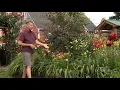 Download Lagu How To Use Lilies And Astilbe In Your Garden