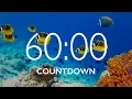 60 Minute Timer with Relaxing Music and Alarm