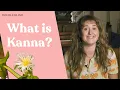 Kanna A Legal Plant for Microdosing More DoubleBlind