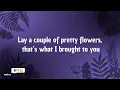 Whiskey Myers - Broken Window Serenade (Lyrics)