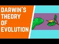 Darwin s Theory of Evolution 101