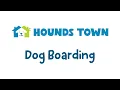 Hounds Town USA - Dog Boarding
