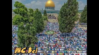 للقدس موعد مع الحرية    دندنها