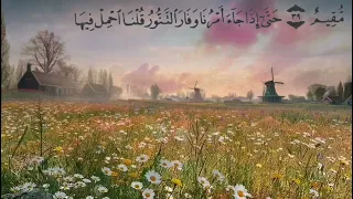 الجزء الثاني عشر من القران الكريم بصوت الشيخ ماهر المعيقلي 