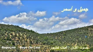 جميل و أسمر للفنان محمد قنديل     دندنها