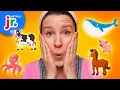 Sort the Animals with Ms Rachel Ms Rachel Netflix Jr