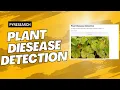 How to Plant Disease Detection with python Streamlit