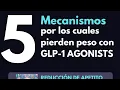 Mechanisms of Action of Ozempic for Weight Loss GLP-1