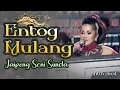 Download Lagu ENTOG MULANG JAIPONG PANGGUNG - ENTIN ACED