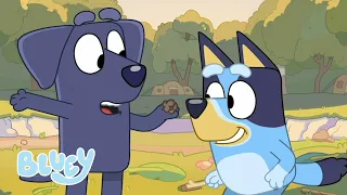bluey fun outdoors bluey