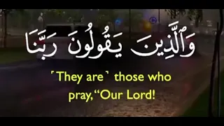 وعبد الرحمن الزين يمشون على الأرض هون 