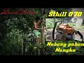 STHILL 070 newest || Nebang Pohon Nangka