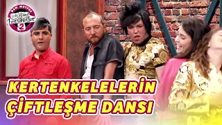 Kertenkelelerin Çiftleşme Dansı (13. Bölüm) - Arizona Kertenkeleleri
