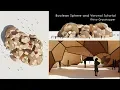 Boolean Sphere and Voronoi Rhino Grasshopper Tutorial