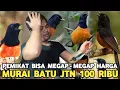Download Lagu NEMU HARGA MURAI BATU JANTAN 100 RIBU CILILIN 500 RIBU DI PASAR BURUNG PRAMUKA HARI INI