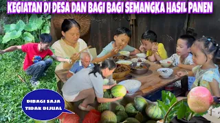 BEGINILAH KEGIATAN DI DESA BANYAK BUAH YANG SEBENTAR LAGI BISA PANEN, BAGIKAN SEMANGKA KE KELUARGA 
