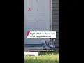 Eight children shot dead in US neighbourhood