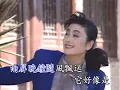 蔡幸娟 - 南屏晚鐘（KTV）