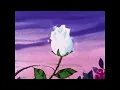 alvvays - dreams tonite (slowed + reverb)