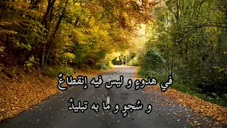 وحيد للشاعر إبن الرومي الشعر العربي شعراءالعرب 