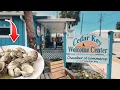 What s It Like to Visit Cedar Key Florida