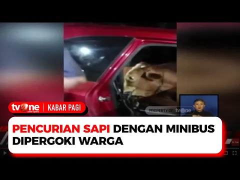 Gagal Total! Ayah Anak Pencuri Sapi dengan Minibus Dipergoki Warga