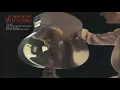 Johnny Winter - Tribute To Muddy