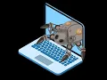 Exploit Vulnerabilities