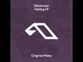 Feeling (feat. Darren Ashley) - Westseven