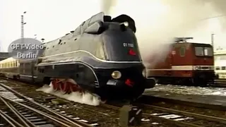                                                        دندنها