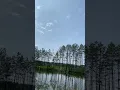 Download Lagu Мечта - наш жизненный маяк, который добавляет свет в нашу жизнь и радость💫 #мечта #жизнь #смыслы