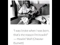 Coon on the Moon - Howlin' Wolf