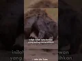 Download Lagu Fakta Menyedihkan Sang Hyena