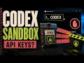 OpenAI Codex Sandbox Can AI Steal Your API Keys