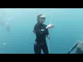 Download Lagu Freediving Natalia
