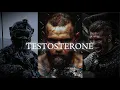 Lagu 12 Minutes of Pure TESTOSTERONE