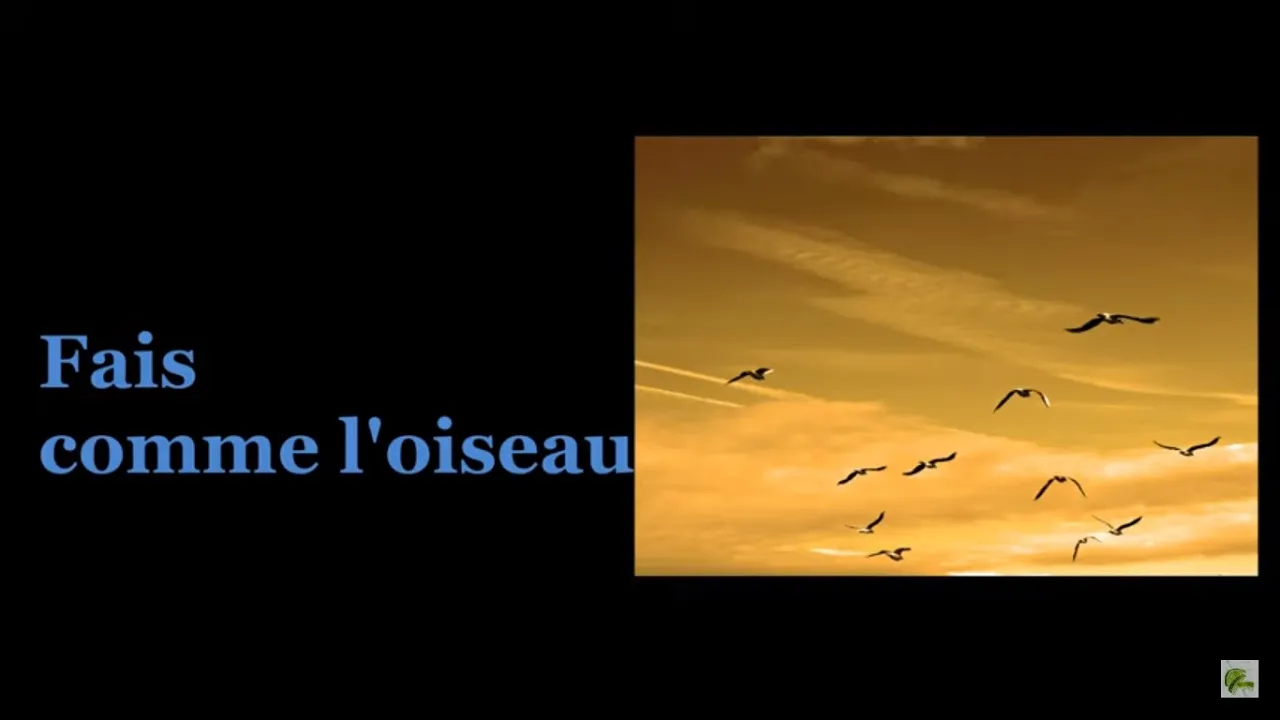 Fais comme l'oiseau - Michel Fugain & Le Big Bazar (Paroles) Fais comme l'oiseau - Michel Fugain & Le Big Bazar (Paroles)